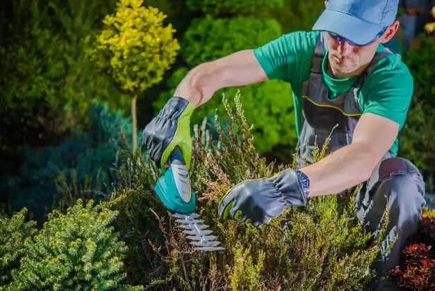 landscaping services Burr Oak